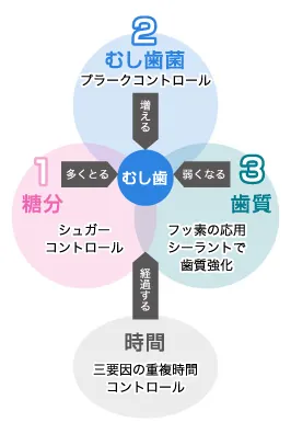 むし歯の3つの原因