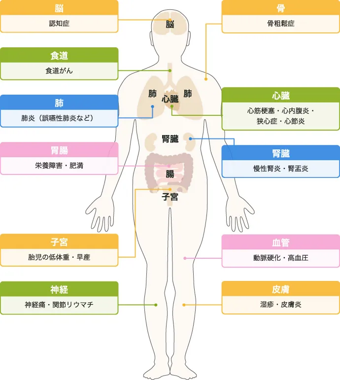 歯周病は全身の疾患と関係しています